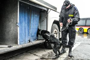 Django i Lila - policyjne psy szkoliły się w służbie