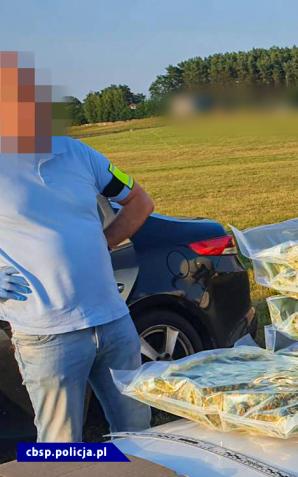 Awionetka miała służyć do przemytu narkotyków z Hiszpanii do Polski - CBŚP i PK przejęły marihuanę i samolot