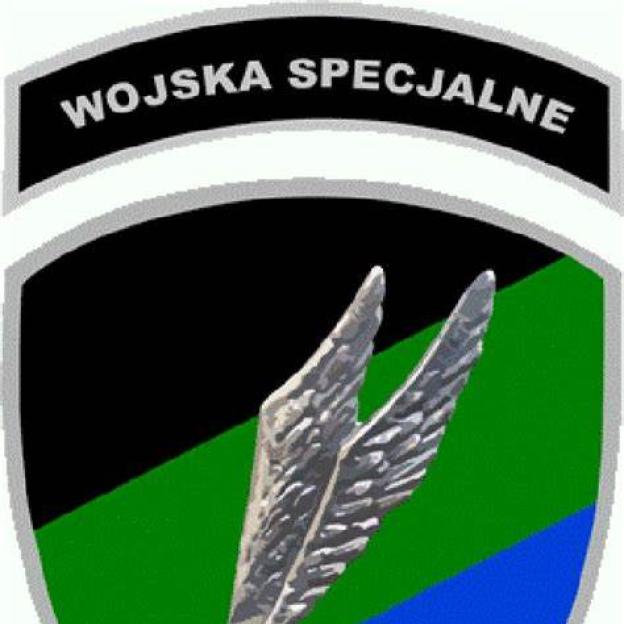 Zaginiony Nurek z Wojsk Specjalnych: Szef BBN zabiera głos.