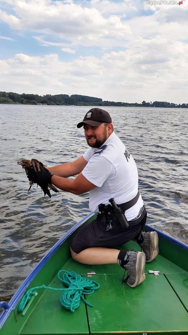 Policjanci uratowali tonącego drapieżnika